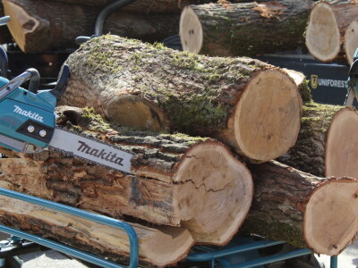 Prvi dan 24. Proljetnog međunarodnog bjelovarskog sajma