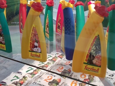 Prvi dan 24. sajma Viroexpo u Virovitici