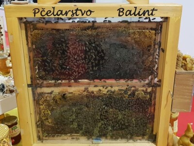 Prvi dan 24. sajma Viroexpo u Virovitici