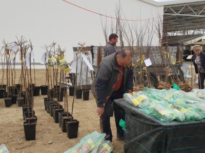 Prvi dan 24. sajma Viroexpo u Virovitici