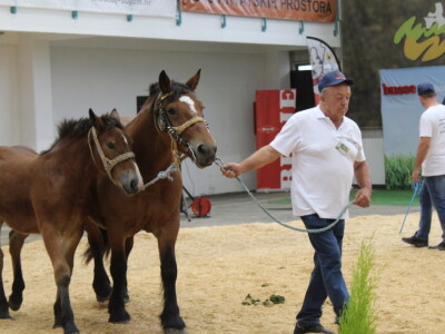 Prvi dan 29. Jesenskog međunarodnog bjelovarskog sajma