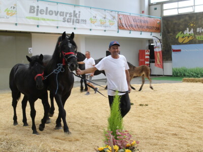 Prvi dan 29. Jesenskog međunarodnog bjelovarskog sajma