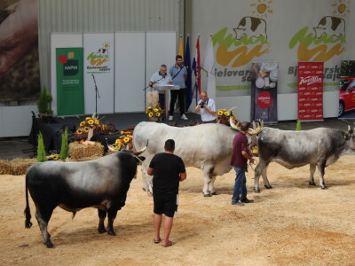 Prvi dan 29. Jesenskog međunarodnog bjelovarskog sajma