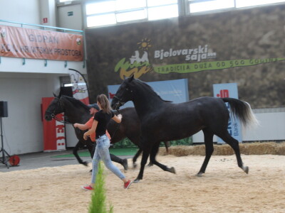 Prvi dan 29. Jesenskog međunarodnog bjelovarskog sajma