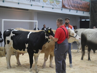 Prvi dan 31. Jesenskog međunarodnog bjelovarskog sajma