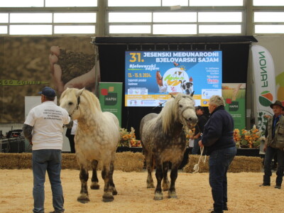 Prvi dan 31. Jesenskog međunarodnog bjelovarskog sajma