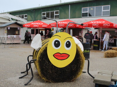 Prvi dan 31. Jesenskog međunarodnog bjelovarskog sajma
