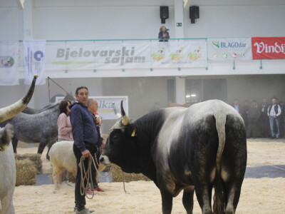 Prvi dan 31. Jesenskog međunarodnog bjelovarskog sajma