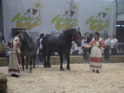 Prvi dan 31. Jesenskog međunarodnog bjelovarskog sajma