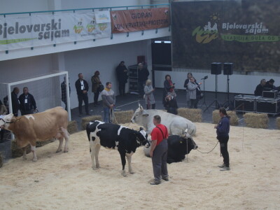 Prvi dan 31. Jesenskog međunarodnog bjelovarskog sajma