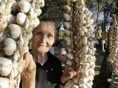 Prvi festival češnjaka u Benkovcu