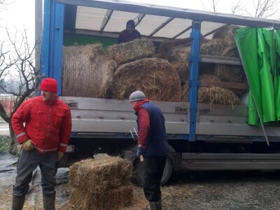 Prvi konvoj pomoći za farmu Muranović Prvi konvoj pomoći za farmu Muranović