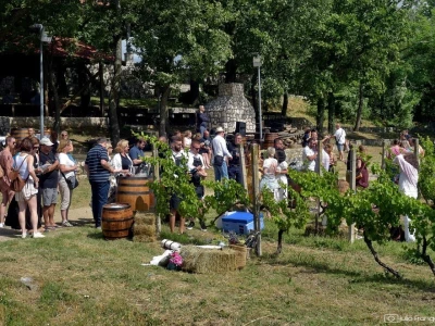 Prvi Kvarnerski pjenušavi doručak u vinogradu