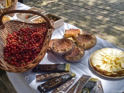 Prvi Kvarnerski pjenušavi doručak u vinogradu