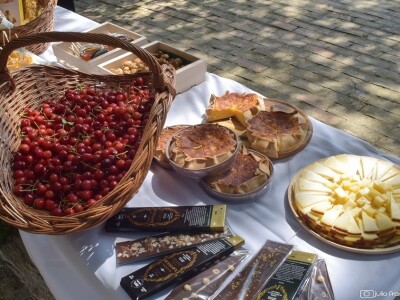 Prvi Kvarnerski pjenušavi doručak u vinogradu