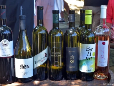 Prvi Kvarnerski pjenušavi doručak u vinogradu
