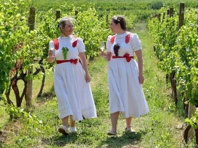 Prvi Kvarnerski pjenušavi doručak u vinogradu