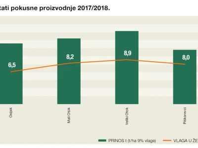 Prvi KWS Clearfield hibrid u ponudi ove sezone!