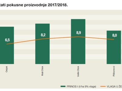 Prvi KWS Clearfield hibrid u ponudi ove sezone!
