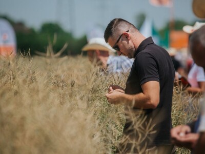 Prvi KWS Clearfield hibrid u ponudi ove sezone!