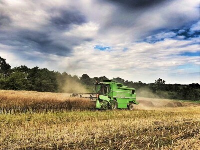 Prvi KWS Clearfield hibrid u ponudi ove sezone!