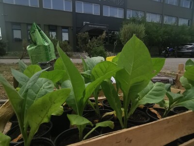 Prvi Muzej duhana u Bosni Hercegovini