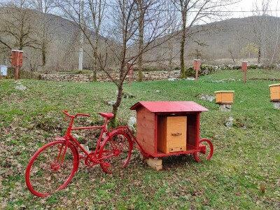 Prvi pčelarski park u BiH, jedinstven i u Europi