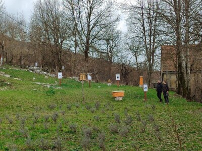 Prvi pčelarski park u BiH, jedinstven i u Europi