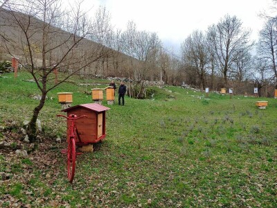 Prvi pčelarski park u BiH, jedinstven i u Europi