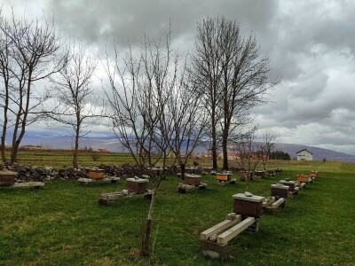 Prvi pčelarski park u BiH, jedinstven i u Europi