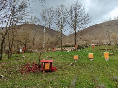 Prvi pčelarski park u BiH, jedinstven i u Europi