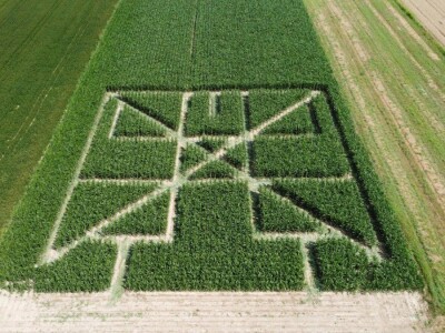 Prvi posavski kukuruzni labirint “Hrvatica”