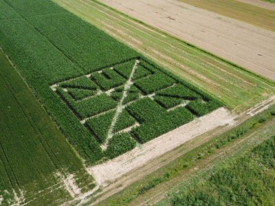 Prvi posavski kukuruzni labirint “Hrvatica”