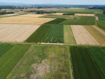 Prvi posavski kukuruzni labirint “Hrvatica”