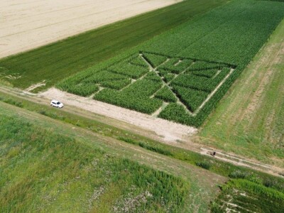 Prvi posavski kukuruzni labirint “Hrvatica”
