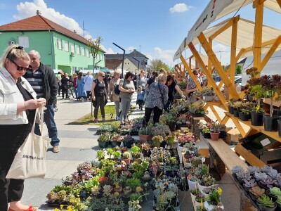 Prvi proljetni sajam u Čepinu