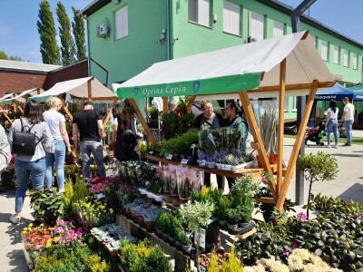 Prvi proljetni sajam u Čepinu