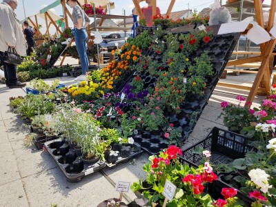 Prvi proljetni sajam u Čepinu