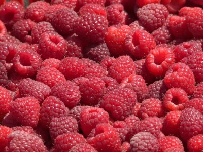 Prvi rod maline otkupljuje se po ceni od 350 dinara