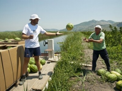 Izgled splava u prijevozu lubenica u dolini Neretve Izgled splava u prijevozu lubenica u dolini Neretve