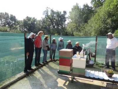 Prvi urbani inkluzivni terapijski pčelinjak