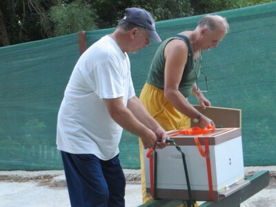 Prvi urbani inkluzivni terapijski pčelinjak