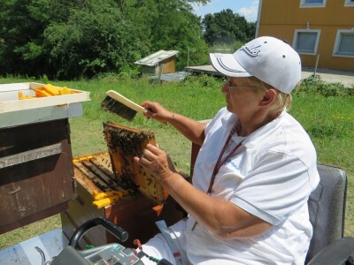Prvi urbani inkluzivni terapijski pčelinjak