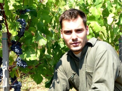 Prvi vinograd kod Markovića