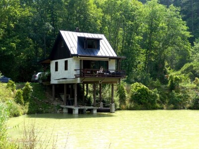 Prvi vinograd kod Markovića