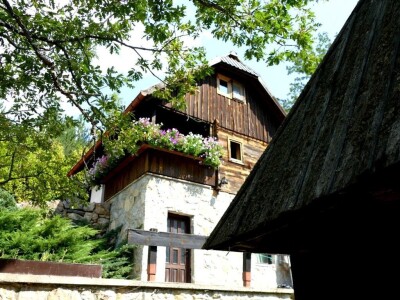 Prvi vinograd kod Markovića