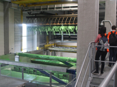 Obojani dijelovi Obojani dijelovi