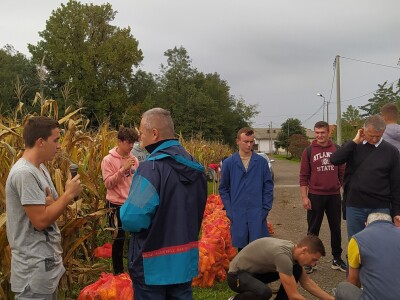 Prvo međunarodno takmičenje u ručnoj berbi kukuruza Prvo međunarodno takmičenje u ručnoj berbi kukuruza