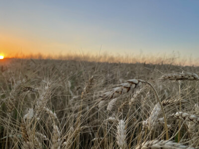 Tvrtka Mauthner na 30. Jesenskom međunarodno bjelovarskom sajmu
