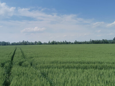 Tvrtka Mauthner na 30. Jesenskom međunarodno bjelovarskom sajmu